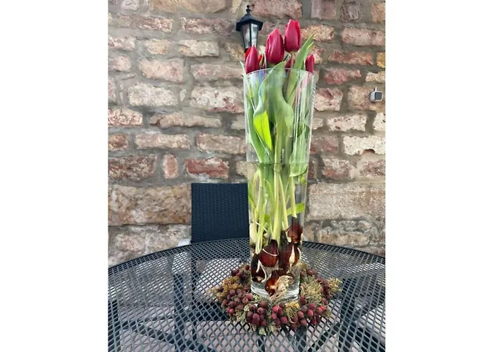 Apartment Pfalzliebe Anno1791 Bochingen