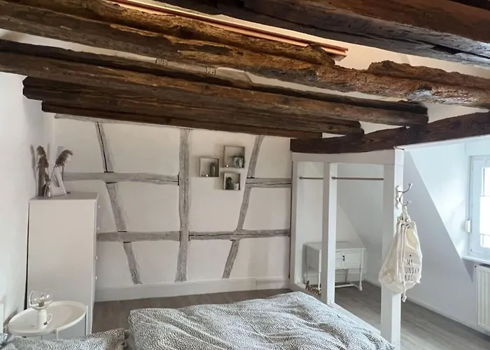 Pfalzliebe Anno1791 Apartment *